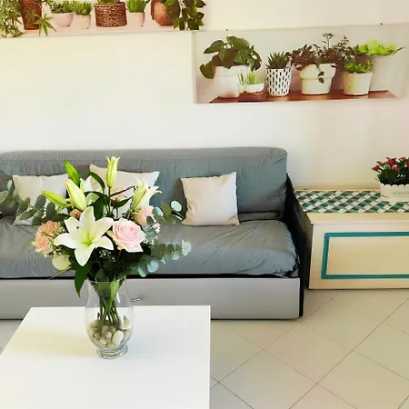 Apartamento Casa Piccy